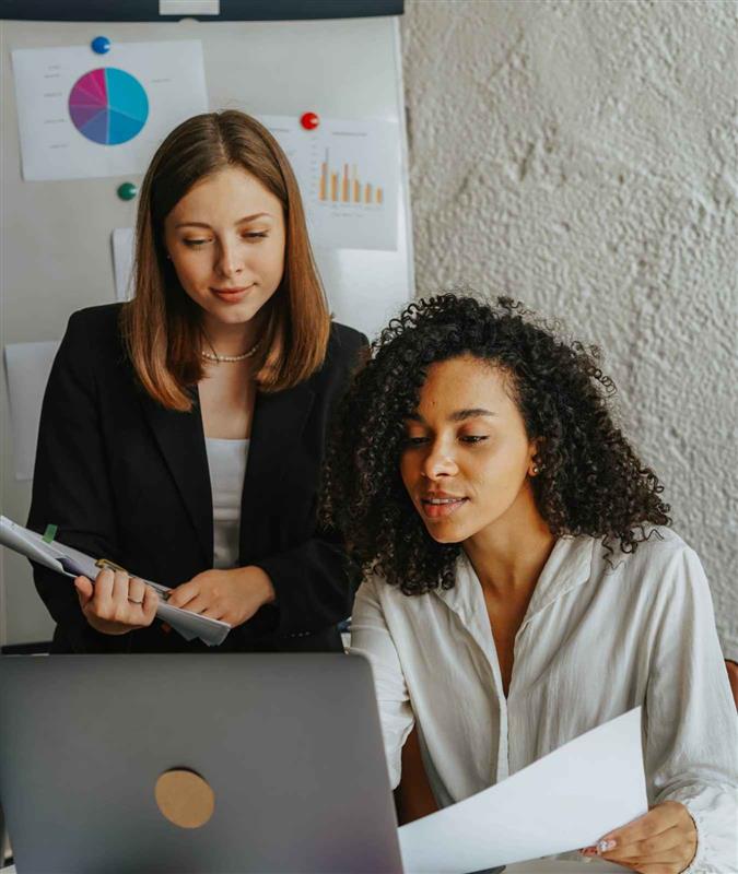 Professional SEO Services